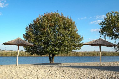 Nehir kıyısında bir sahil. Karantinaya alın. Hiç insan yok. Plajlar yakında açılacak..