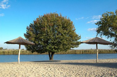 Nehir kıyısında bir sahil. Karantinaya alın. Hiç insan yok. Plajlar yakında açılacak..