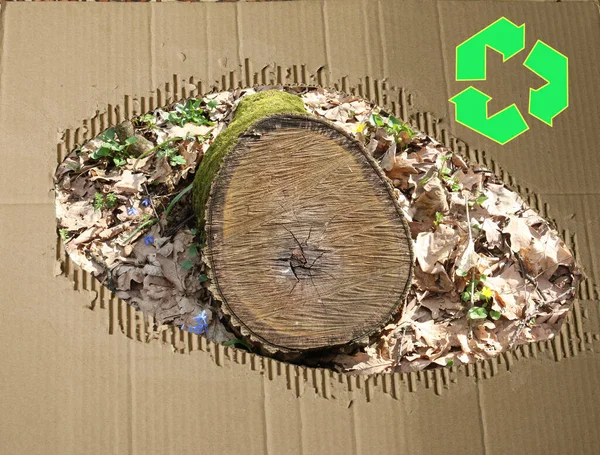 Uma Redução Tronco Árvore Contra Fundo Papelão Usado Resíduos Papel — Fotografia de Stock