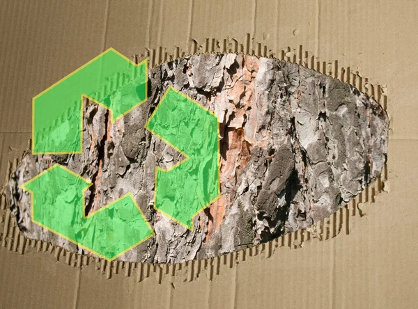 A cut of a tree trunk against the background of used cardboard. Cardboard waste paper protects the environment. Cardboard recycling concept. Cardboard recycling.