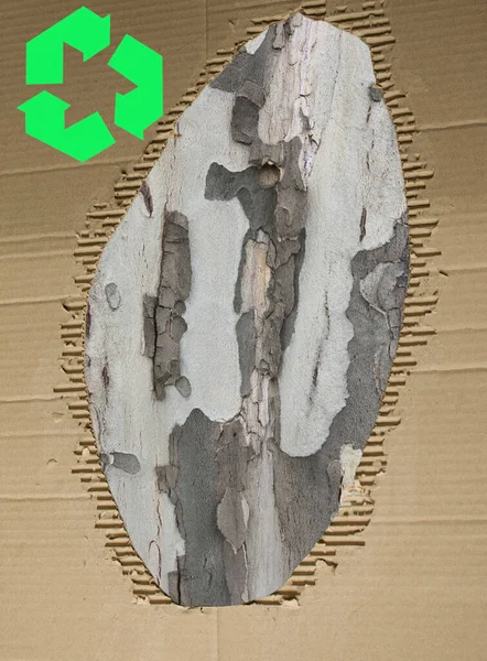 Срез Ствола Дерева Фоне Использованного Картона Картонная Бумага Защищает Окружающую — стоковое фото