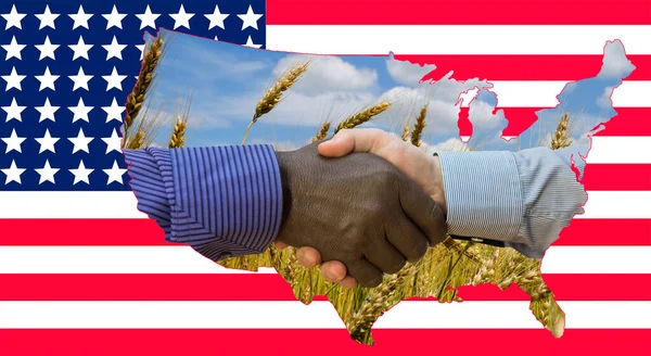 Close Photo Handshake Afroamerican European Hands Handshake Front Flag Flag — Stock Photo, Image