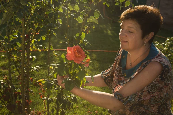 Kobieta Średnim Wieku Róża Kobieta Wdycha Zapach Róży Zachodzie Słońca — Zdjęcie stockowe