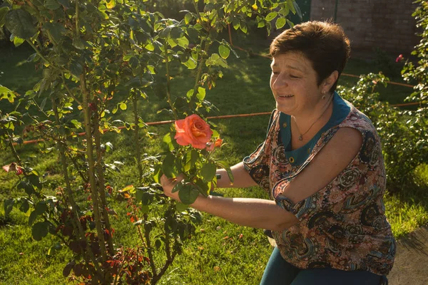 Medelålders Kvinna Och Ros Kvinnan Andas Doften Rosen Vid Solnedgången — Stockfoto