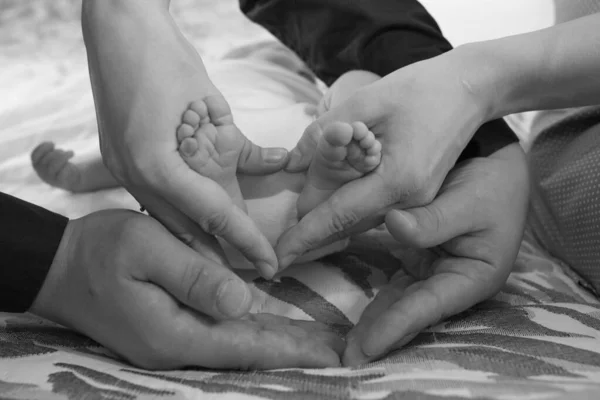 Mom and dad hug newborn baby legs. A heart is formed, which symbolizes love, care, affection and unity.