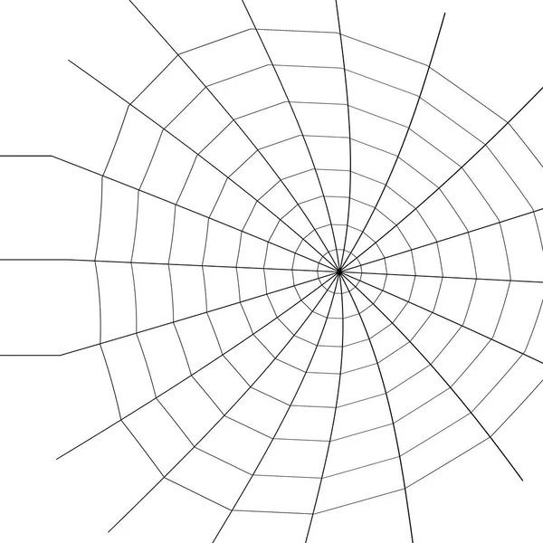 ウェブ クモの巣だ ウェブはハッカーの楽園です デザイナーのコンテンツ — ストック写真