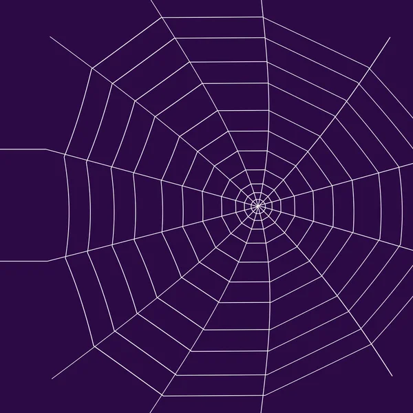 Web Internet Spinnennetz Das Netz Ist Ein Hacker Paradies Inhalt — Stockfoto