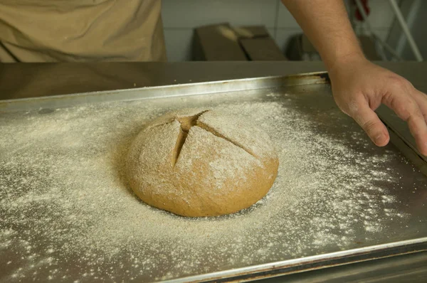 パンを作る過程 シェフは手作りで生地をこねる 生地は焼く準備ができています 料理長はパンを焼く準備をする — ストック写真