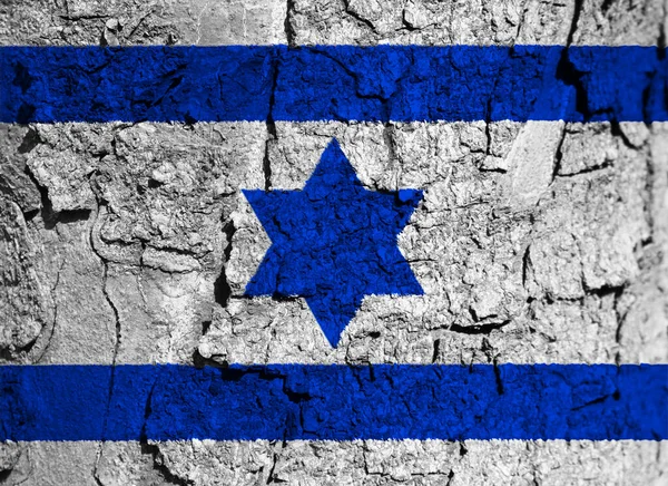 Bandera Tinta Israel Textura Marzo 1949 Las Fuerzas Armadas Israelíes — Foto de Stock