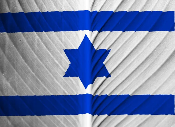 Bandera Tinta Israel Textura Marzo 1949 Las Fuerzas Armadas Israelíes — Foto de Stock