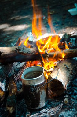 Piknik. Açık ateşte yemek pişirmek. Çay ve kahve için ateşin üzerinde su ısıtıyoruz. Kapalı sınırlarda kamp yapmak. Koronavirüs nedeniyle yurt dışına seyahat edemezsiniz..