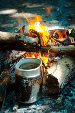 Piknik. Açık ateşte yemek pişirmek. Çay ve kahve için ateşin üzerinde su ısıtıyoruz. Kapalı sınırlarda kamp yapmak. Koronavirüs nedeniyle yurt dışına seyahat edemezsiniz..