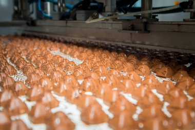 Şeker fabrikası. Şekerleme üretim süreci. Üzerinde şeker olan taşıma bandı..