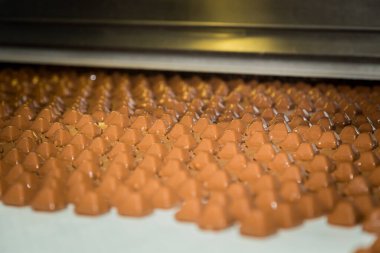 Şeker fabrikası. Şekerleme üretim süreci. Üzerinde şeker olan taşıma bandı..