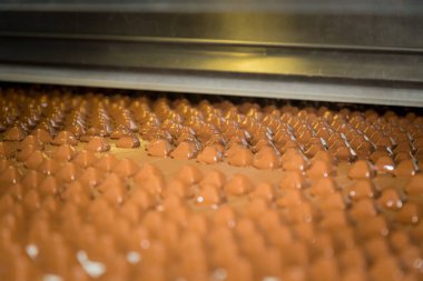 Şeker fabrikası. Şekerleme üretim süreci. Üzerinde şeker olan taşıma bandı..