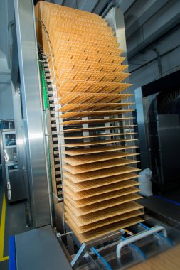 Şeker fabrikası. Şekerleme üretim süreci. Üzerinde şeker olan taşıma bandı..