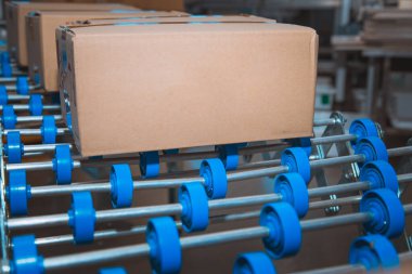 Şeker fabrikası. Şekerleme üretim süreci. Üzerinde çikolata kutuları olan taşıyıcı bant..