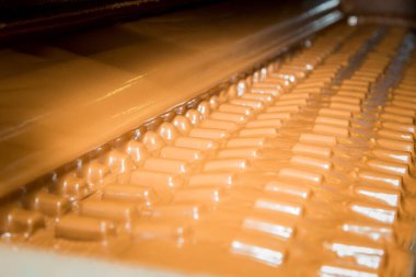 Şeker fabrikası. Şekerleme üretim süreci. Üzerinde şeker olan taşıma bandı..