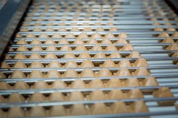 Şeker fabrikası. Şekerleme üretim süreci. Üzerinde şeker olan taşıma bandı..