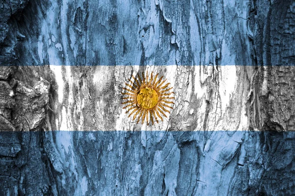 Bandiera Argentina Sfondo Texture Sfondo Biglietti Auguri Giorni Festivi Argentina — Foto Stock