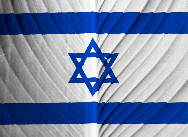 Bandera Israel Sobre Fondo Textura Antecedentes Para Tarjetas Felicitación Para — Foto de Stock