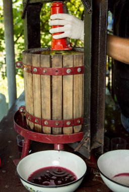 Şarap hasadı. Usta bir şarap üreticisi üzüm sıkacağı kuruyor. Bardakta taze sıkılmış üzüm suyu. Sonbahar, üzüm hasadı ve şarap yapma zamanıdır..