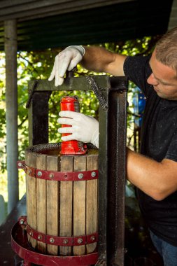 Şarap hasadı. Usta bir şarap üreticisi üzüm sıkacağı kuruyor. Bardakta taze sıkılmış üzüm suyu. Sonbahar, üzüm hasadı ve şarap yapma zamanıdır..