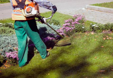 Parkta sonbahar çalışması. Bahçıvan kıştan önce çimleri biçer..