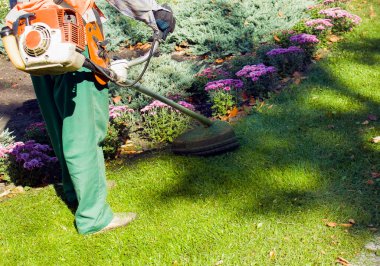 Parkta sonbahar çalışması. Bahçıvan kıştan önce çimleri biçer..