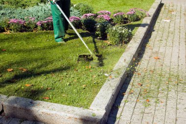 Parkta sonbahar çalışması. Bahçıvan kıştan önce çimleri biçer..