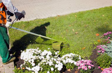Parkta sonbahar çalışması. Bahçıvan kıştan önce çimleri biçer..