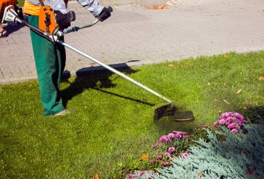 Parkta sonbahar çalışması. Bahçıvan kıştan önce çimleri biçer..