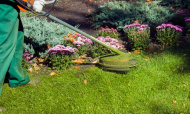 Parkta sonbahar çalışması. Bahçıvan kıştan önce çimleri biçer..