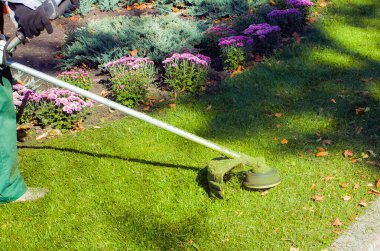 Parkta sonbahar çalışması. Bahçıvan kıştan önce çimleri biçer..