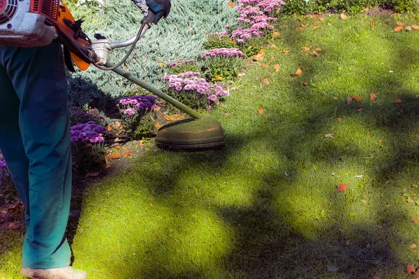 Осінні Роботи Парку Садівник Вирізає Траву Зими — стокове фото