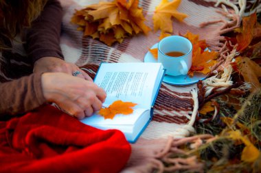 Sonbahar ormanında piknik. Çay, elma, açık bir kitap ve kırmızı eşarplı sonbahar yaprakları..