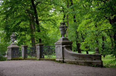 İngiliz parkında yürüyüş yolu. Münih 'te bir sürü park var. İngiliz parkı en güzelidir..