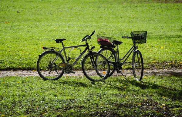 Велосипеды Свободные Велосипеды Английском Парке Мюнхене Туристы Оставили Свой Транспорт — стоковое фото