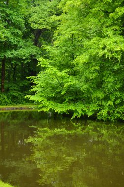Bavyera 'daki Linderhof Kalesi' nin güzel bahçeleri - LINDERHOF, GERMANY