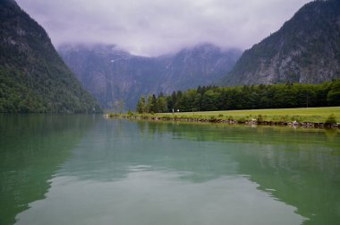 Berchtesgaden, Bavyera, Almanya -05.25.2013: Royal Lake Konigssee Almanya 'nın en temizidir. Burada bir sürü farklı hayvan ve bitki var. Ördekler bu yerlerin geleneksel su canlılarıdır..