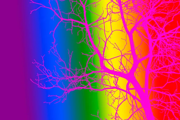 가지가 나무의 실루엣입니다 고립이요 비즈니스 디자이너를 콘텐츠 무지개 형체가 배경을 — 스톡 사진