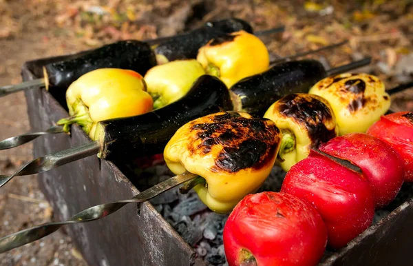 Grönsaker Spett Grillade Tomater Paprika Och Äggplantor — Stockfoto