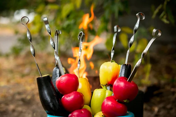 Овощи Шампуре Фоне Огня Помидоры Перец Баклажаны Готовятся Жарке Открытом — стоковое фото