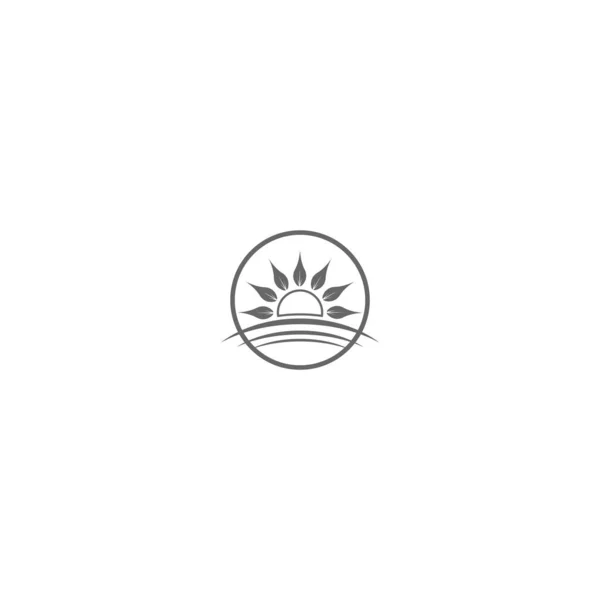 Sun Flower Logotyp Ikon Begrepp Illustration — Stock vektor
