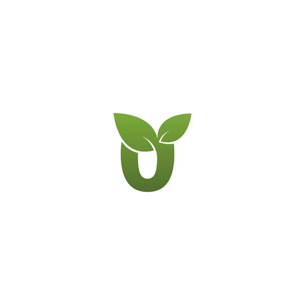 Carta Com Folha Verde Símbolo Logotipo Modelo —  Vetores de Stock