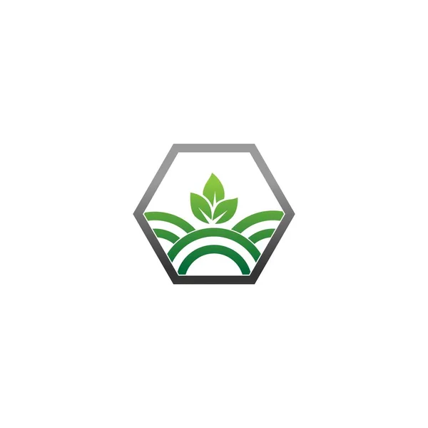Mezőgazdaság Logo Falevél Vektor Logó Design Környezetbarát Koncepció — Stock Vector