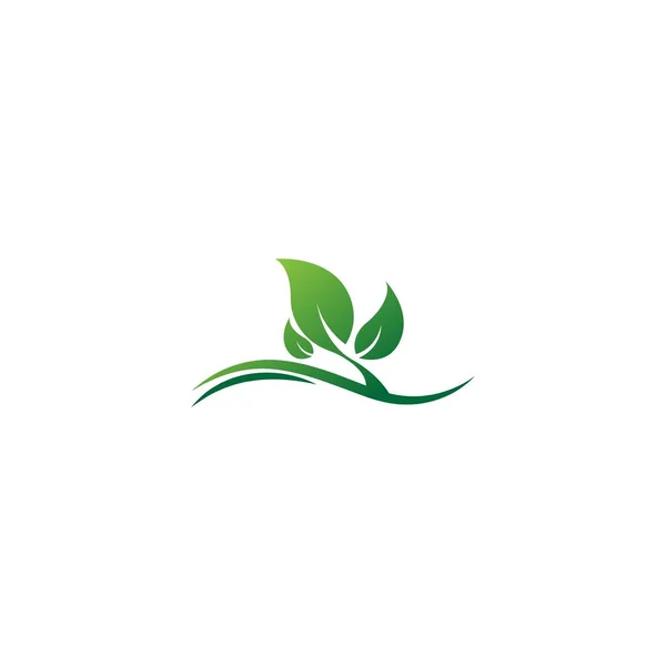Icono Hoja Logotipo Plantilla Ilustración — Vector de stock