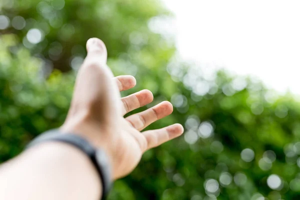 Mano Extendiéndose Sobre Fondo Luz Natural Verde — Foto de Stock