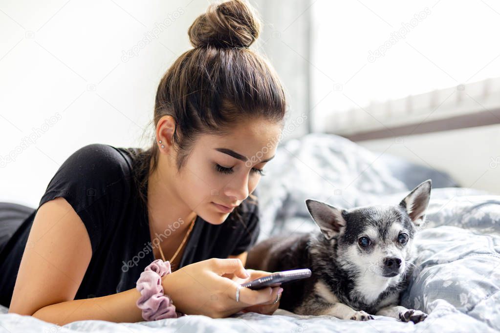 Mixed race teenage girl using cell phone with chihuahua dog next to her side in bed.