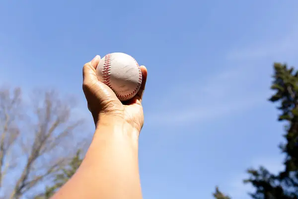 Mão segurando beisebol contra o céu limpo azul com árvore . — Fotografia de Stock